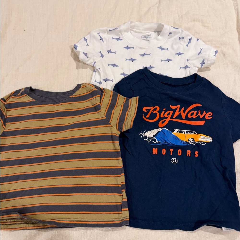 1 year-2t bundle